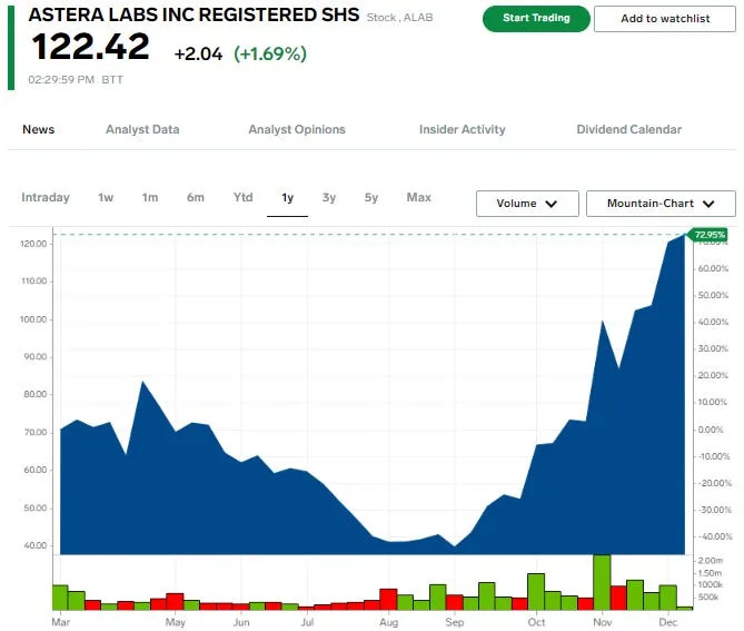 These are the 10 best-performing stocks that debuted in 2024