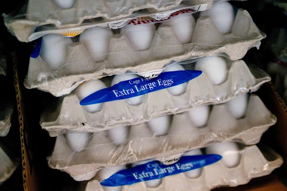 First Watch Stock Slips as Executives Warn of Egg Costs Hurting Margins